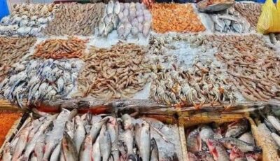 أسعار السمك اليوم ترفع شعار “بلاها بروتين”، ارتفاع المكرونة 50 جنيها والبلطي 4 والجمبري قرب الألف