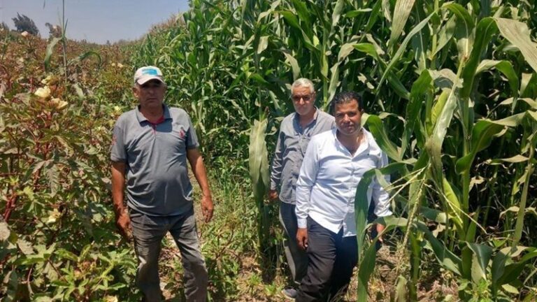 زراعة الشرقية تتابع أعمال الحصر الحيازي استعدادًا لتطبيق نظام البطاقة الإلكترونية