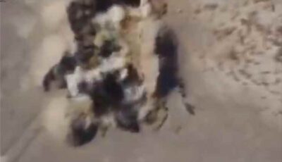 المشهد اليمني – مشاهد نوعية من جبهات الجوف.. الطيران المسيّر للجيش اليمني يلاحق تحركات الحوثيين