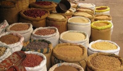 ارتفاع الذرة والصويا والردة، أسعار الأعلاف والحبوب اليوم في الأسواق