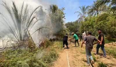 حريق داخل منطقة زراعية في الفرافرة بالوادي الجديد