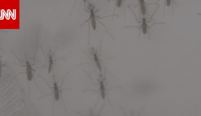 البعوض أذكى ممّا تظن.. يتذكّر من يحاولون ضربه لتجنّبهم