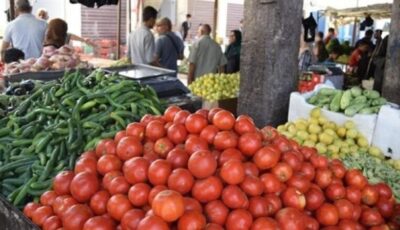 سعر الخضار اليوم، ارتفاع 10 أصناف منها الطماطم والخيار والفلفل وانخفاض البامية