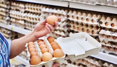 سعر كرتونة البيض اليوم السبت في بورصة الدواجن