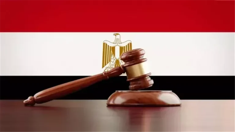 محام: شبهة عدم دستورية في المادة 372 من قانون الإجراءات الجنائية الجديد بشأن الأحكام الغيابية