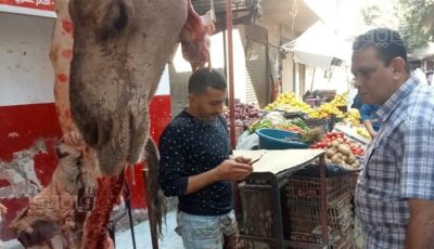 بيطري أسيوط يضبط نصف طن لحوم وأسماك غير صالحة للاستهلاك الآدمي