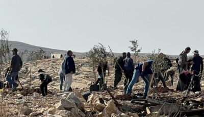 الأكثر دموية.. 2026 هو الأعلى باعتداءات المستوطنين في الضفة