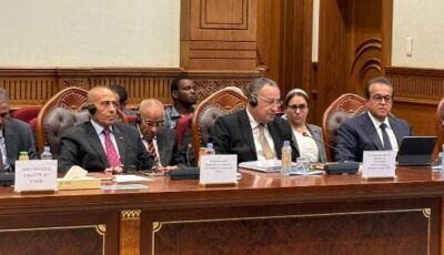 مصر وعمقها الأفريقي ..دعم مصر كبير وتعاون مع تشاد في ملفات الصحة والدواء