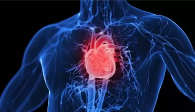 10 نصائح تساعد في الحفاظ على صحة القلب