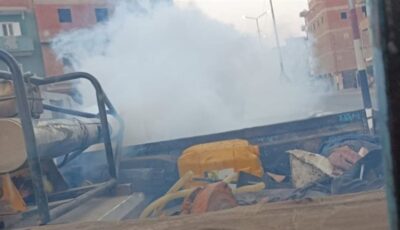 محافظ الشرقية: تكثيف حملات رش الناموس والحشرات الطائرة