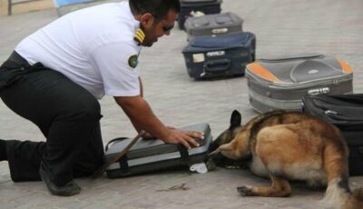 1260 عملية ضبط في المنافذ الجمركية خلال أسبوع.. أبرزها الأسلحة والمخدرات