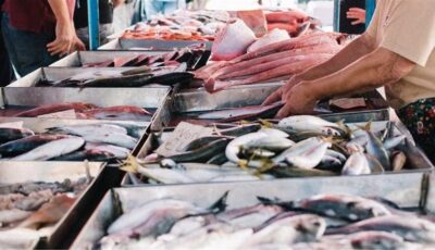 أسعار السمك اليوم، البلطي يسجل 63 جنيها وقفزة في 4 أنواع منها البوري والمكرونة