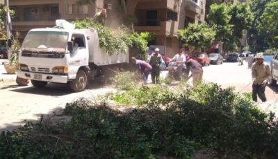 هيئة النظافة والتجميل بالجيزة تنظم حملة لتقليم الأشجار شديدة الخطورة في الدقي