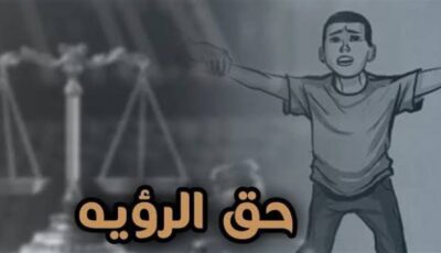 أزمة تعطيل تنفيذ أحكام الرؤية تحت قبة البرلمان، لماذا تطالب الأحزاب بكتاب دوري وتنظيم للاستضافة؟