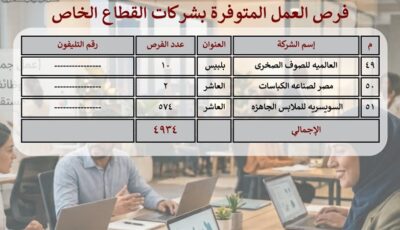 مديرية العمل بالشرقية: توفير 5 آلاف وظيفة بـ51 مصنعًا بالقطاع الخاص