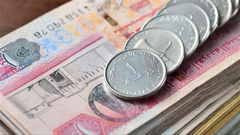 سعر الدرهم الإماراتي مقابل الجنيه في البنك المركزي (تحديث لحظي)