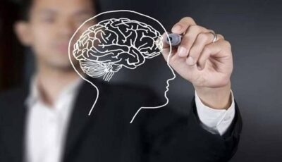 لماذا يستحيل فهم الدماغ البشري بالكامل؟ عالمة أعصاب تكشف الأسباب