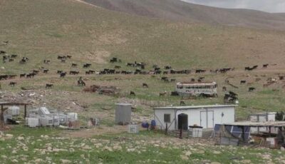 رأس العوجا خالية من أهلها.. الاستيطان يفرغ أكبر تجمع للرعاة في الضفة (شاهد)