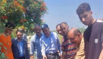 زراعة الشرقية تنفذ يوما حقليا لمحصول الأرز بالإبراهيمية