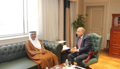 وزير الكهرباء: الشركات الإماراتية شريك نجاح في إطار خطة الدولة للتحول الطاقي