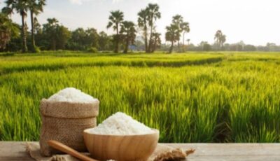 سعر الأرز في الأسواق اليوم الثلاثاء 11 أغسطس 2026
