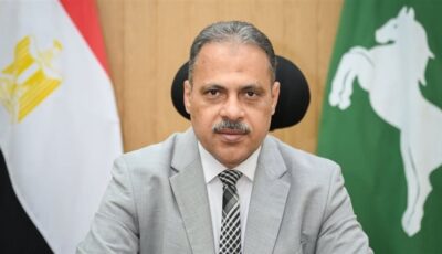 محافظ الشرقية يُصدر حركة تنقلات محدودة للعاملين بالديوان العام