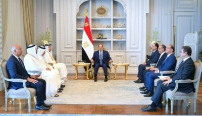 تفاصيل مباحثات السيسي ورئيس وزراء قطر (فيديو)