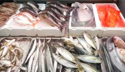 أسعار السمك اليوم، انخفاض جديد في البلطي وارتفاع المكرونة والكابوريا 10 جنيهات