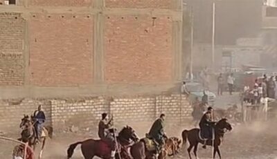 بالصابية والمرماح، أهالي دشنا يحتفلون بذكرى المولد النبوي الشريف (فيديو)