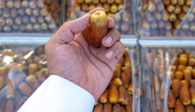 تمر الصقعي.. صنف سعودي يجمع بين المذاق المميز والهوية الفريدة