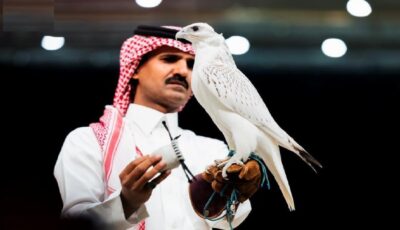 بيع أغلى صقر في المزاد الدولي لمزارع إنتاج الصقور 2026 بـ1.3 مليون ريال