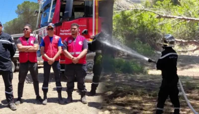 Incendie de forêt maîtrisé à « Jebel Lengâa » et « Dzira »