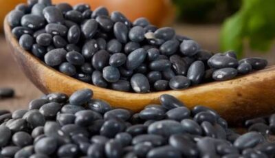 دراسة تكشف فوائد الفاصوليا السوداء لصحة القلب والعمر الطويل