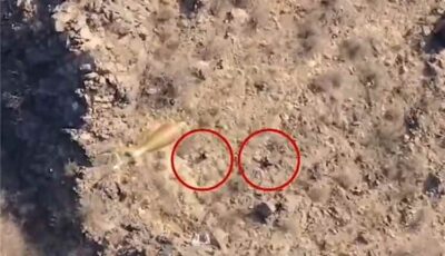 المشهد اليمني – النعمان: سببان وراء تعمد الحوثيين التغطية على استنزاف عناصرهم بعمليات الطيران المسير
