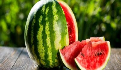 خبراء : المشروبات الرياضية أفضل من البطيخ أثناء التمارين