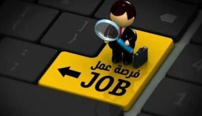 56 شركة و3032 وظيفة.. خريطة فرص العمل المتاحة للشباب خلال أغسطس