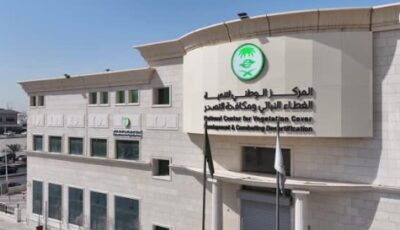 4 فرص استثمارية في متنزهات نجران.. «الغطاء النباتي» يدعم السياحة البيئية