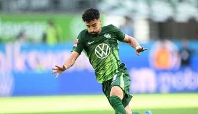 بعد عمورة.. نيس يتعاقد مع لاعب جزائري جديد